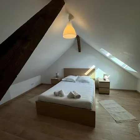 Le Petit Nid De - Parking Prive * Colmar