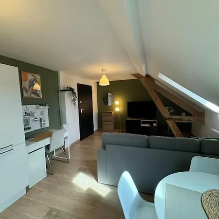 Le Petit Nid De - Parking Prive Apartment