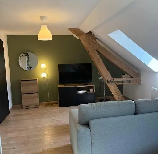 Apartment Le Petit Nid De - Parking Prive Colmar