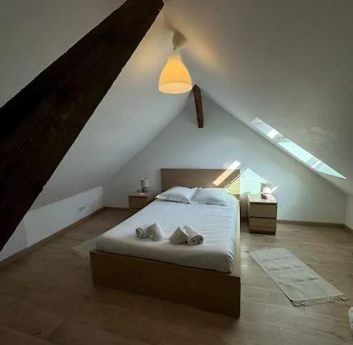 Le Petit Nid De - Parking Prive * Colmar