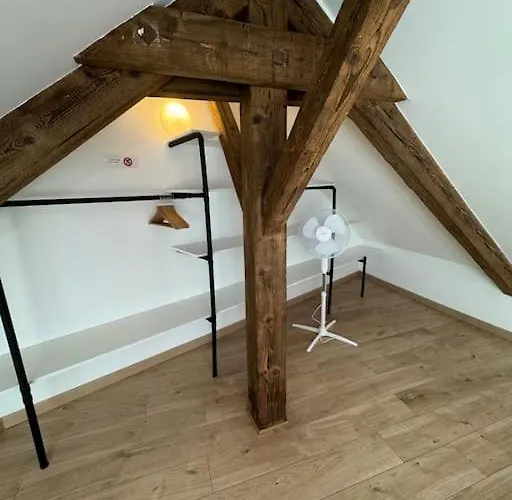 Le Petit Nid De - Parking Prive Colmar