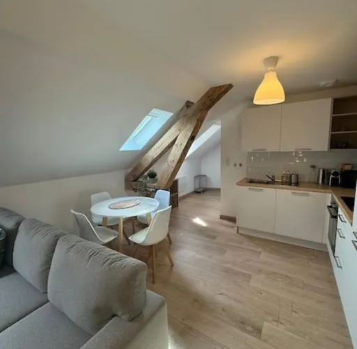 Apartment Le Petit Nid De - Parking Prive Colmar